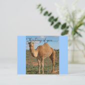 Hübsch Camel Postkarte (Stehend Vorderseite)