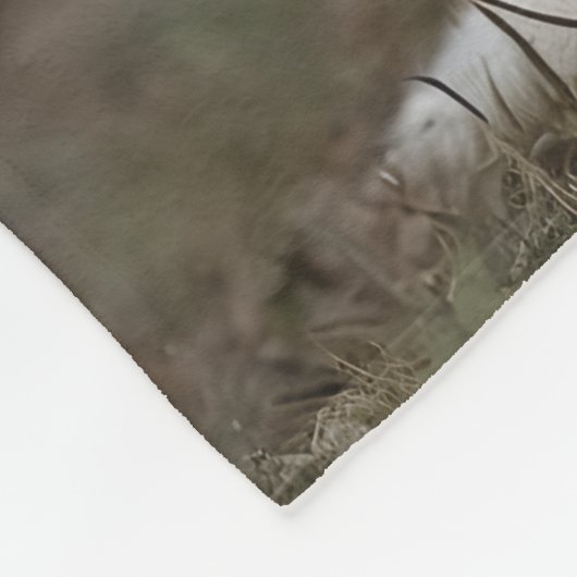 Hübsch Cavalier King Charles Personalisiert Blanke Fleecedecke (Ecke)