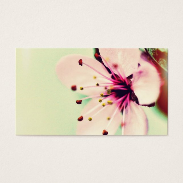 Hübsch Cherry Blossom (Vorderseite)
