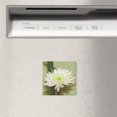 Hübsch Chrysanthemum Magnet (In Situ (Geschirrspüler))