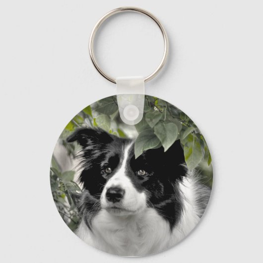 Hübsch Collie Dog Schlüsselanhänger (Vorderseite)