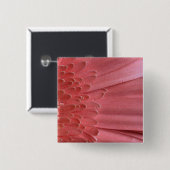 Hübsch Coral Pink Gerbera Daisy Button (Vorne & Hinten)