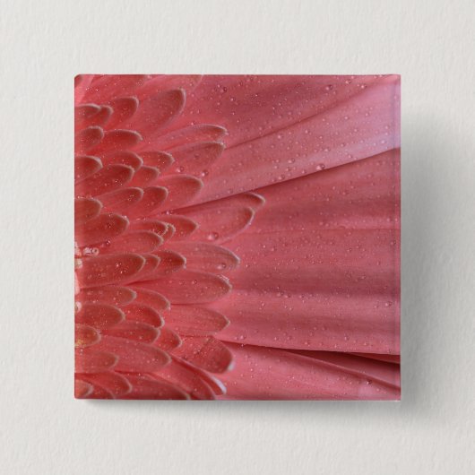 Hübsch Coral Pink Gerbera Daisy Button (Vorderseite)