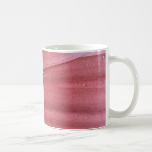 Hübsch Coral Pink Gerbera Daisy Kaffeetasse (Rechts)