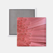 Hübsch Coral Pink Gerbera Daisy Magnet (Vorderseite/Rückseite)