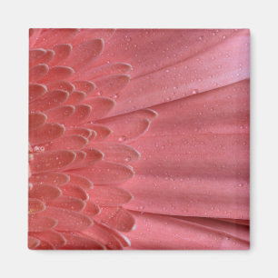 Hübsch Coral Pink Gerbera Daisy Magnet