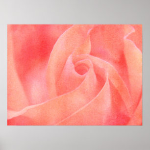 Hübsch Coral Pink Rose Blumenfotografie Poster