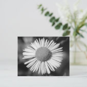 Hübsch Daisy Postkarte (Stehend Vorderseite)
