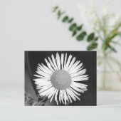 Hübsch Daisy Postkarte (Stehend Vorderseite)