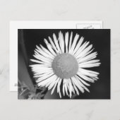 Hübsch Daisy Postkarte (Vorne/Hinten)