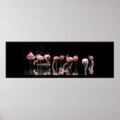 Hübsch Flamingo Poster (Vorne)