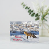 Hübsch Fox Snow Foto Schnee Foto Weihnachten Postkarte (Stehend Vorderseite)