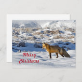 Hübsch Fox Snow Foto Schnee Foto Weihnachten Postkarte (Vorne/Hinten)