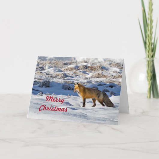 Hübsch Fox Snow Foto Weihnachten (Vorderseite)