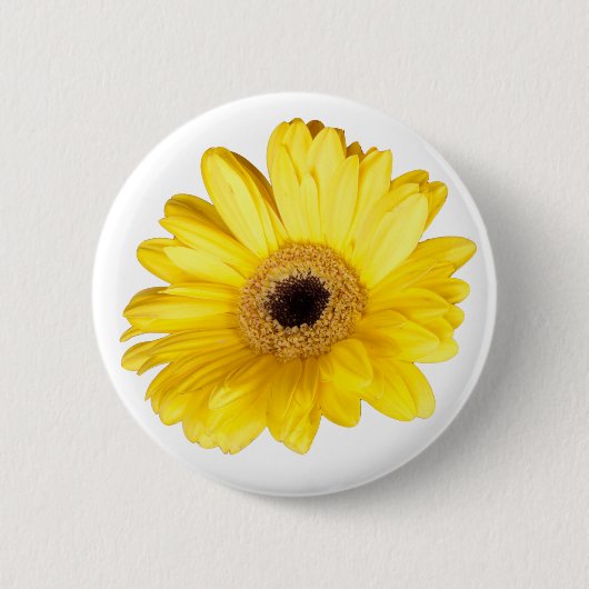 Hübsch-Gelb-Gerber-Daisy-Nah-Up-Foto Button (Vorderseite)