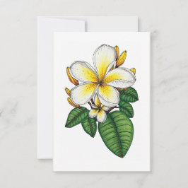 Hübsch Gelb und Weiß Plumeria Hawaiian Dankeskarte