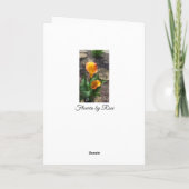 Hübsch-Gelbblume Karte (Rückseite)