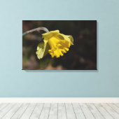 Hübsch Gelbe affodische Blume 24,00" x 16,00" Leinwanddruck (Insitu (Holzboden))