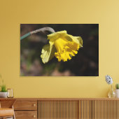 Hübsch Gelbe affodische Blume 36,00" x 24,00" Leinwanddruck