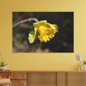 Hübsch Gelbe affodische Blume 48,00" x 32,00" Leinwanddruck (Insitu (Wohnzimmer))
