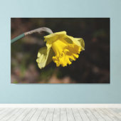 Hübsch Gelbe affodische Blume 48,00" x 32,00" Leinwanddruck (Insitu (Holzboden))