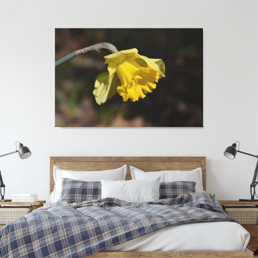 Hübsch Gelbe affodische Blume 48,00" x 32,00" Leinwanddruck (Insitu (Schlafzimmer))