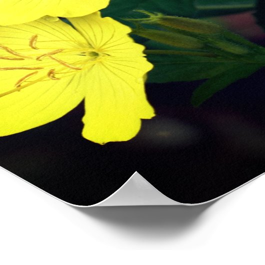 Hübsch-Gelbe Blume Poster (Ecke)