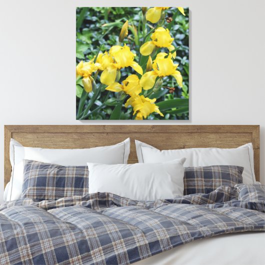 Hübsch-Gelbe Iris-Blumengarten Leinwand (Insitu (Schlafzimmer))