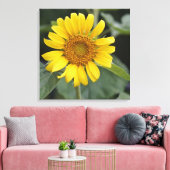 Hübsch Gelbe Sonnenblume 24" x 24" Leinwanddruck (Insitu (Wohnzimmer))