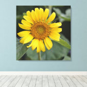 Hübsch Gelbe Sonnenblume 24" x 24" Leinwanddruck (Insitu (Holzboden))