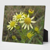 Hübsch Gelbe Wildblumen Plaque Fotoplatte (Seite)