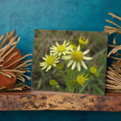 Hübsch Gelbe Wildblumen Plaque Fotoplatte (Seite)
