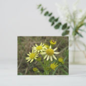 Hübsch Gelbe Wildblumen Postkarte (Stehend Vorderseite)