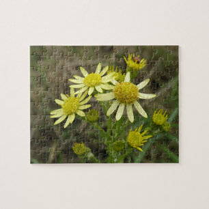 Hübsch-Gelbe Wildblumen-Puzzle Puzzle