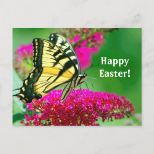 Hübsch-Gelbes Frack Schmetterling-Flora-Ostern Postkarte
