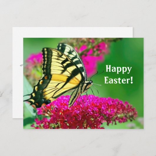 Hübsch-Gelbes Frack Schmetterling-Flora-Ostern Postkarte (Vorne/Hinten)