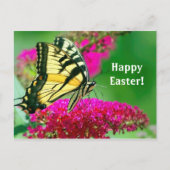 Hübsch-Gelbes Frack Schmetterling-Flora-Ostern Postkarte (Vorderseite)