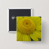 Hübsch-Gelbmarguerit Button (Vorne & Hinten)