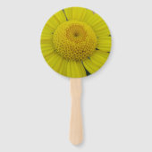 Hübsch-Gelbmarguerit Fächer (Rückseite)