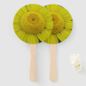 Hübsch-Gelbmarguerit Fächer (Vorne und Hinten)