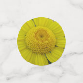 Hübsch-Gelbmarguerit Konfetti (Klein Vorderseite)