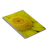 Hübsch-Gelbmarguerit Notizblock (Rechte Seite)