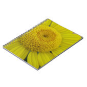 Hübsch-Gelbmarguerit Notizblock (Linke Seite)