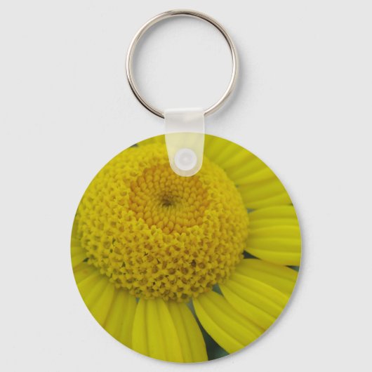 Hübsch-Gelbmarguerit Schlüsselanhänger (Vorderseite)