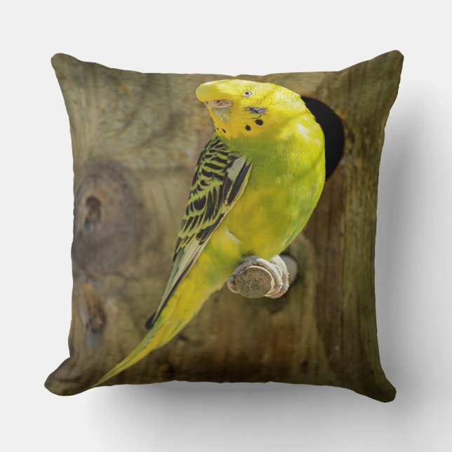 Hübsch-Gelbparaket Kissen (Vorderseite)