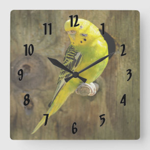Hübsch-Gelbparaket Quadratische Wanduhr
