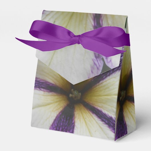 Hübsch Geschenkschachtel (Vorderseite)