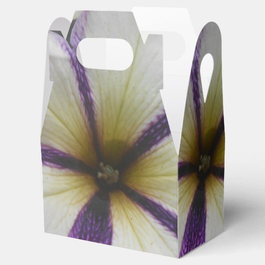 Hübsch Geschenkschachtel (Geöffnet)