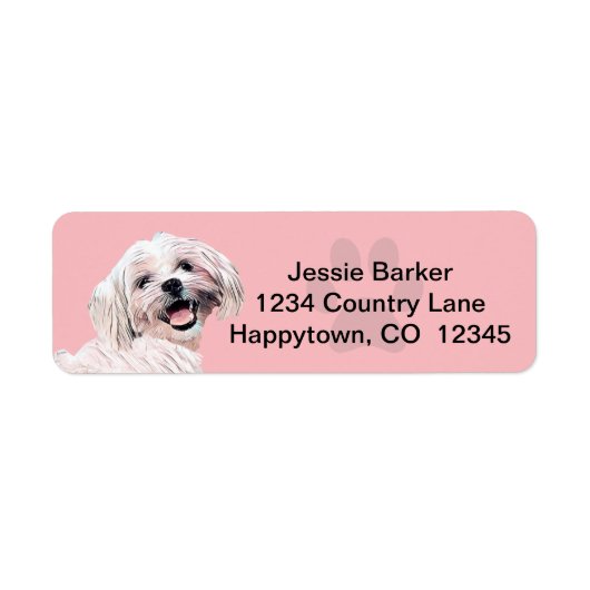 Hübsch gestrichene maltesische Rücksendeadresse (Vorne)