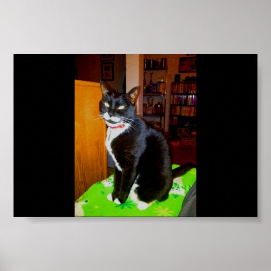 Hübsch Girl Lucy Poster (Vorne)